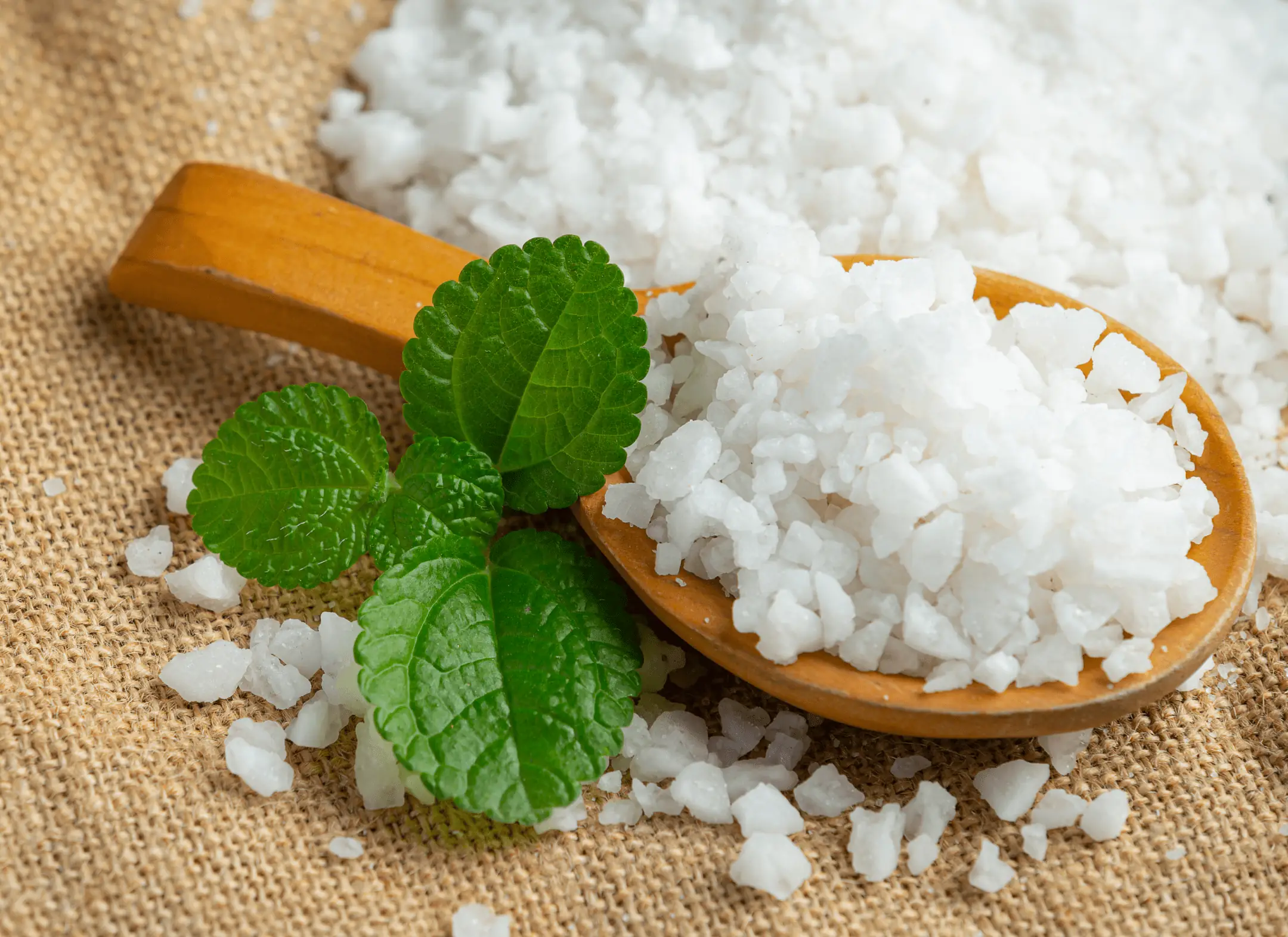 White crystals on a wooden spoon with fresh green leaves